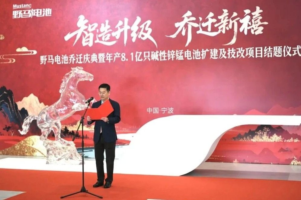 野马电池年产8.1亿只碱性锌锰电池扩建及技改项目结题