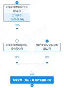 万华化学旗下电池材料公司增资至40亿元 同步落子山东滨州