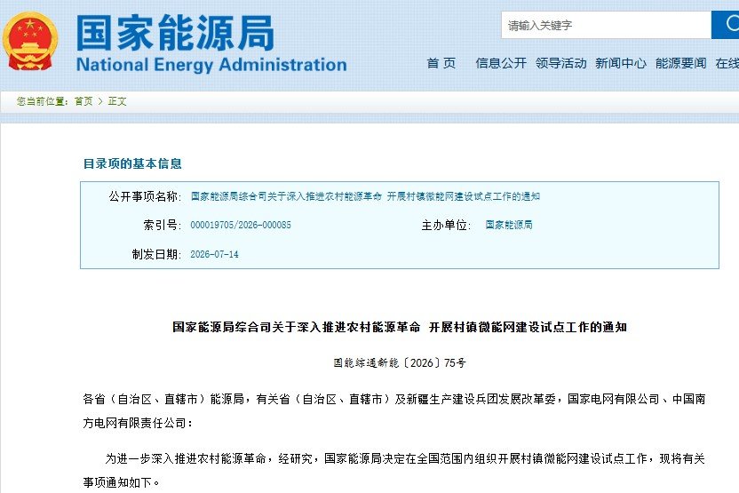国家能源局:到2028年底在全国范围内建成一批村镇微能网试点项目