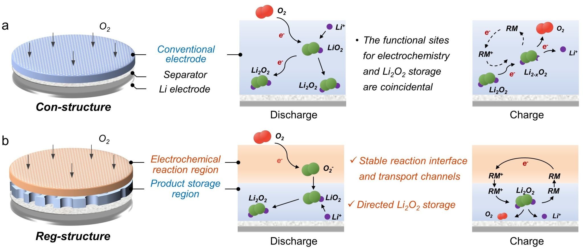 图1 常规电极（a）与功能区域化电极（b）的结构与反应原理示意图