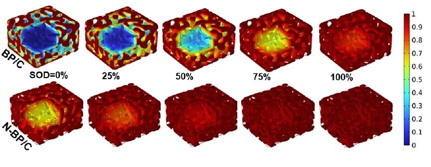 黑磷电极在不同放电状态下锂离子浓度分布优越性