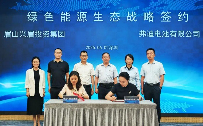 图/弗迪电池