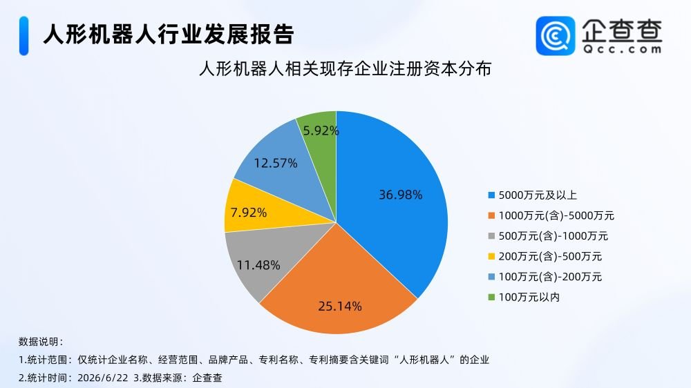 人形机器人 人形机器人
