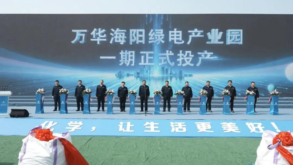 半年盈利逼近百亿大关！万华化学电池材料产业布局梳理