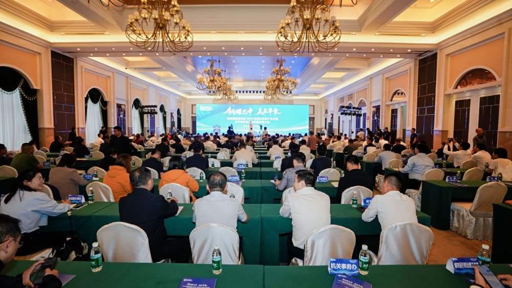 钠美新能源科技(巴中)有限公司投产仪式暨巴中市钠电产业供需对接大会 钠美新能源科技(巴中)有限公司投产仪式暨巴中市钠电产业供需对接大会