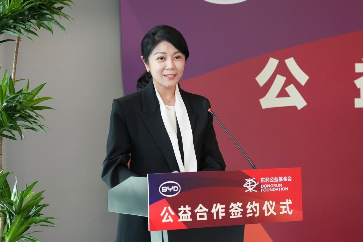 比亚迪 比亚迪