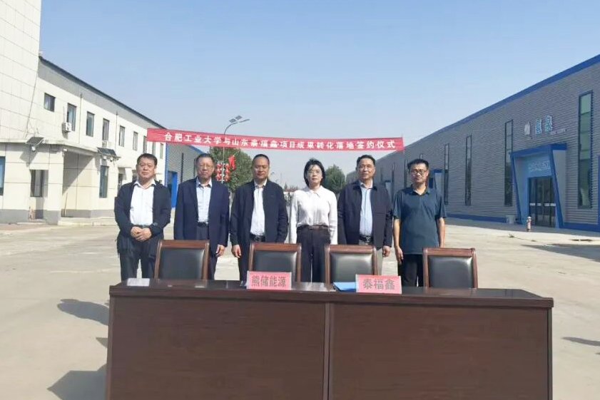 3亿元!年产万吨钠电负极材料项目签约山东临邑